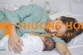 Cần người chăm mẹ bầu