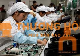 XKLD Đài Loan tuyển 1 nữ làm điện tử