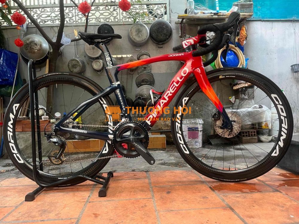 pinarello f14