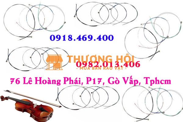 Thay dây đàn violin chuyên nghiệp tại gò vấp, tphcm