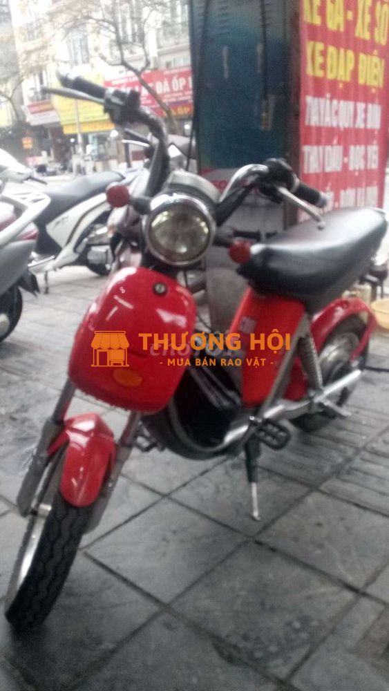 Xe như ảnh