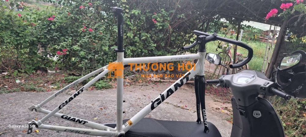 Khung road Giant PACE