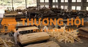Tuyển 2 nữ đi mới đơn hàng sản xuất gỗ ván ép tại Đài Loan