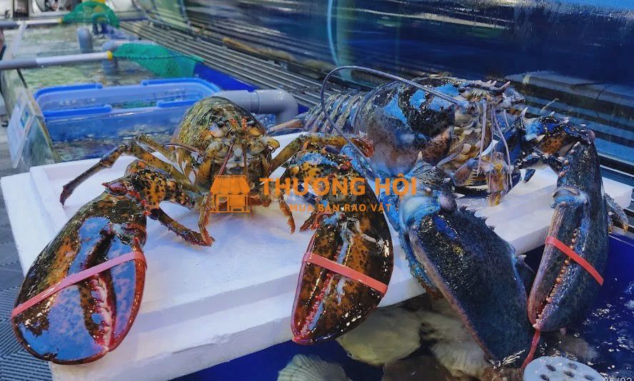 HÀ NỘI - NHÂN VIÊN KHO LẠNH, GIAO HÀNG