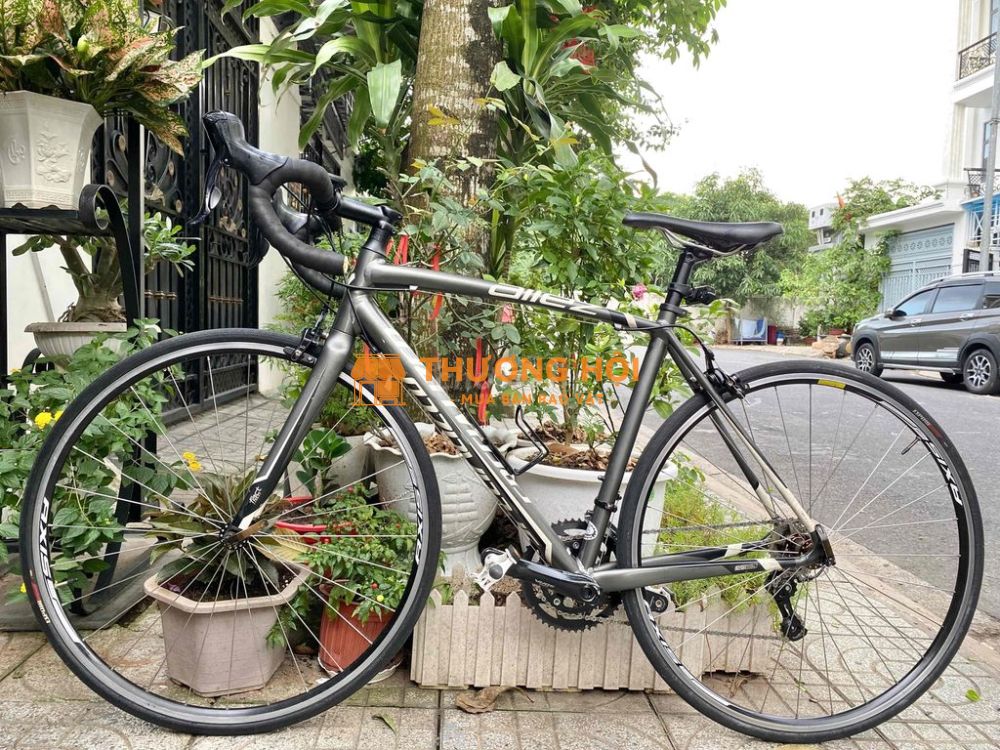 Cuộc Road Specialized Mỹ 🇺🇸 Allez sport cao cấp