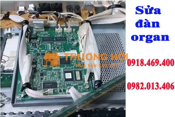 Sửa đàn organ tại gò vấp