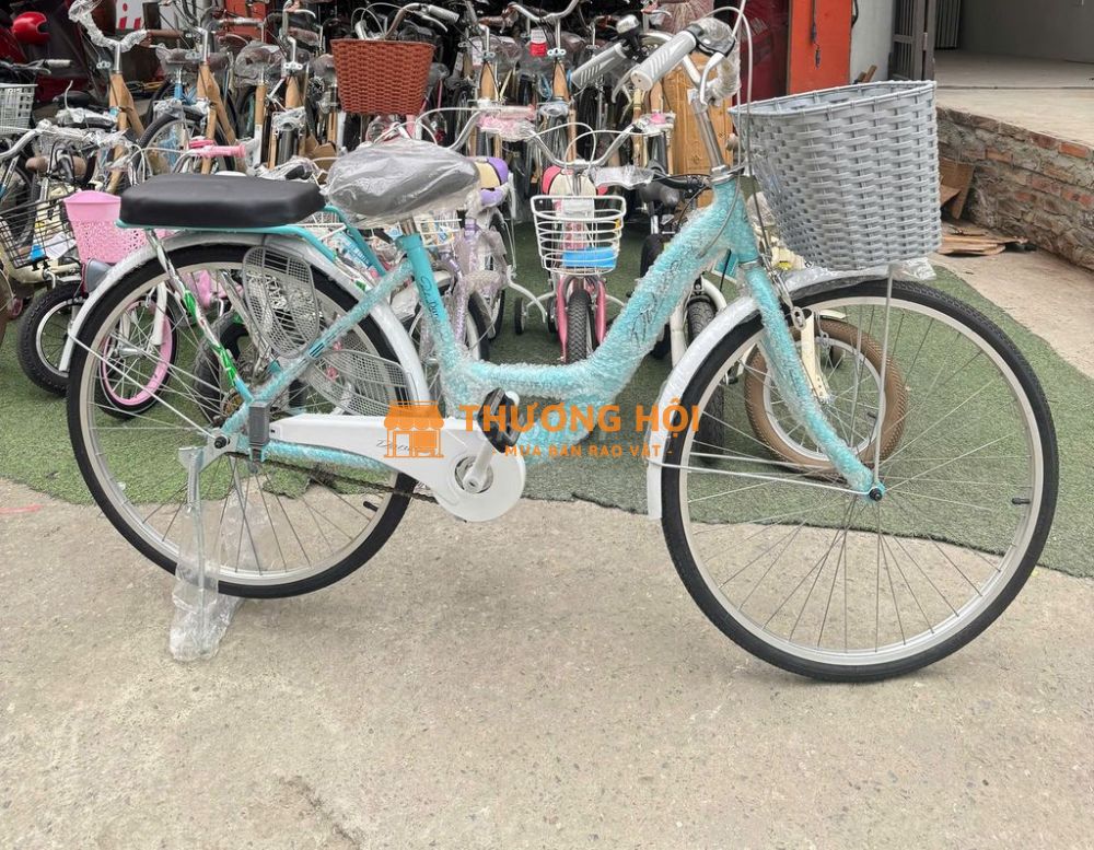 Xe đạp mini DanZo cho nữ (xe mới 100%)