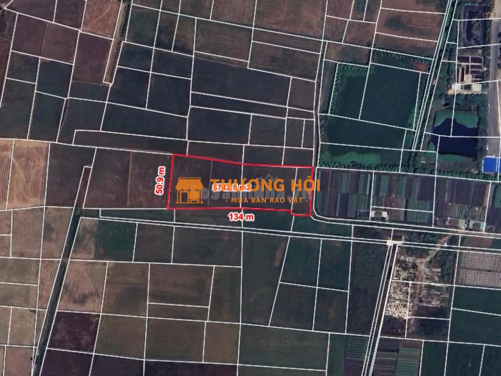 Rẻ! Đất 2.5tr/m² 0.6Ha – Xuân Thới Thượng 2 HM