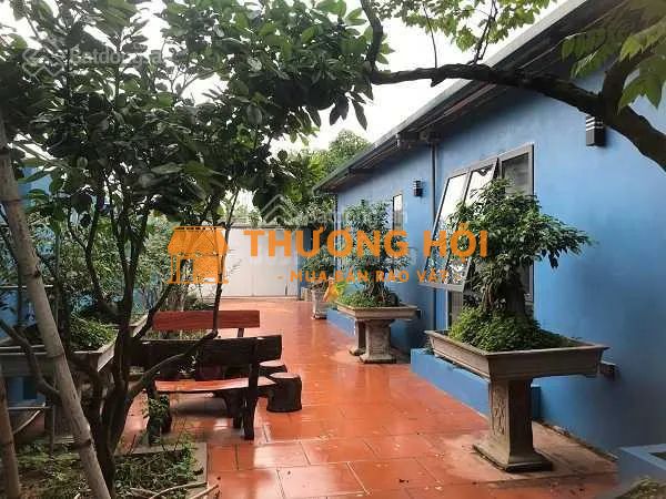 Bán lô đất dịch vụ 50m khu Vân Canh siêu đẹp, gần Trịnh Văn Bô giá đẹp