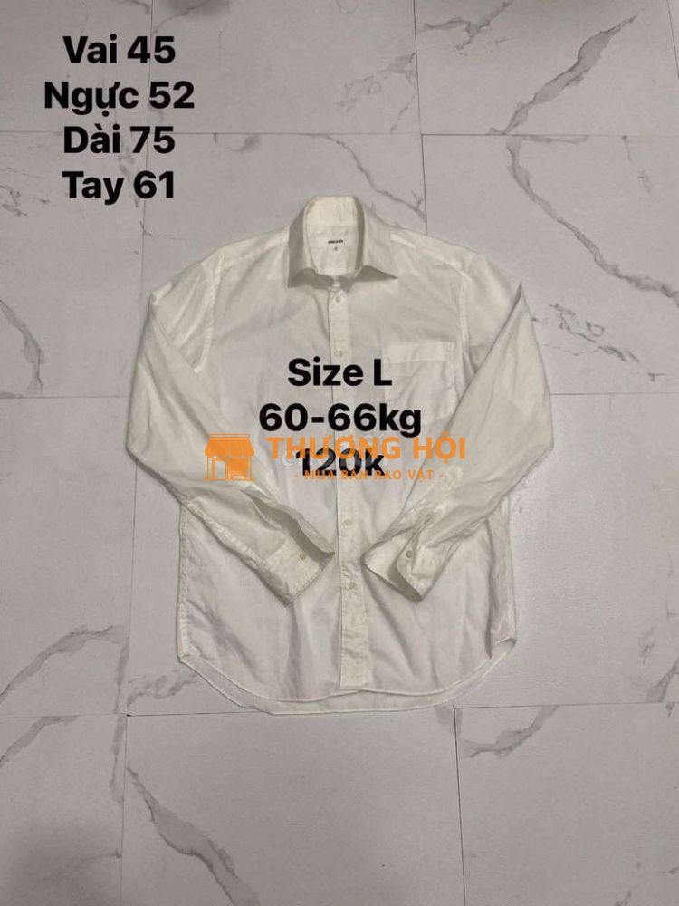 Size L