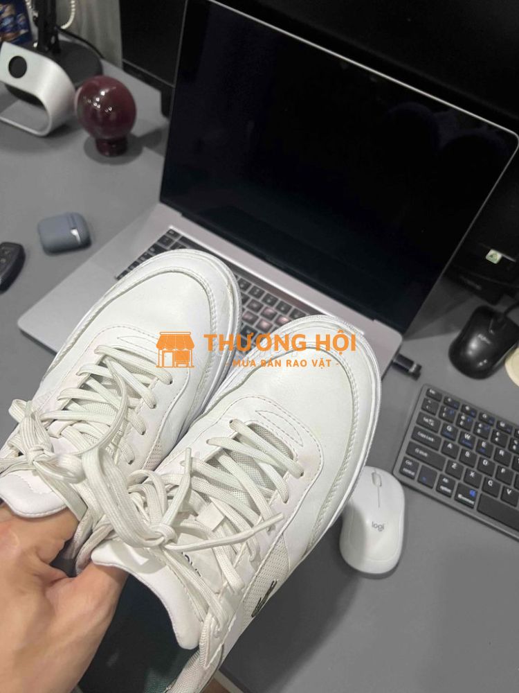 giầy lacoste chính hãng