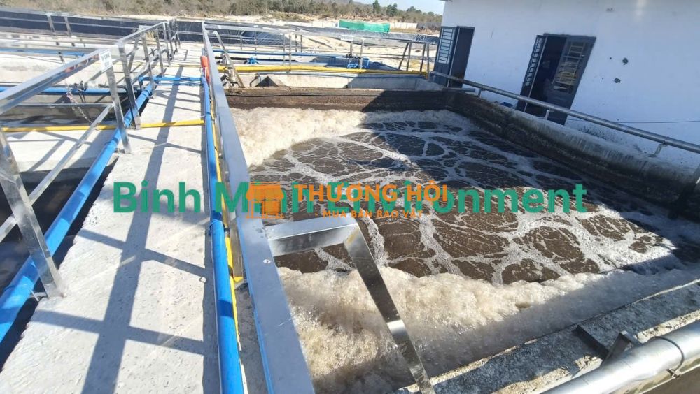 Xử lý nước thải chăn nuôi chi phí thấp