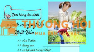 Đơn hàng tokutei nông nghiệp Nhật Bản tuyển 2 nữ