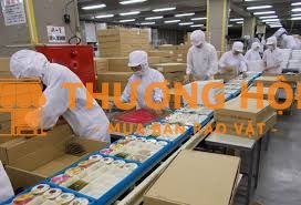 XKLD Đài Loan đơn hàng làm bánh tuyển 2 nữ trẻ đi mới