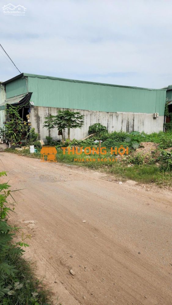 Đất thổ cư 5×16 (80m2) hẻm 7m Tỉnh Lộ 10 (gần chùa Long Thạnh)