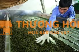Cần đôi vợ chồng đi xkld Đài làm nông nghiệp
