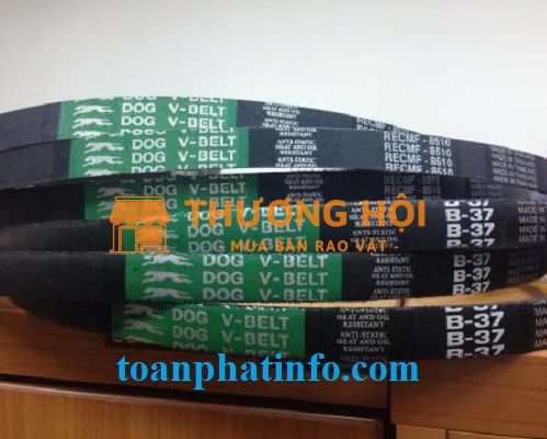 Dâyt Curoa Toàn Phát – Giải Pháp Truyền Động Hiệu Quả Và Bền Bỉ