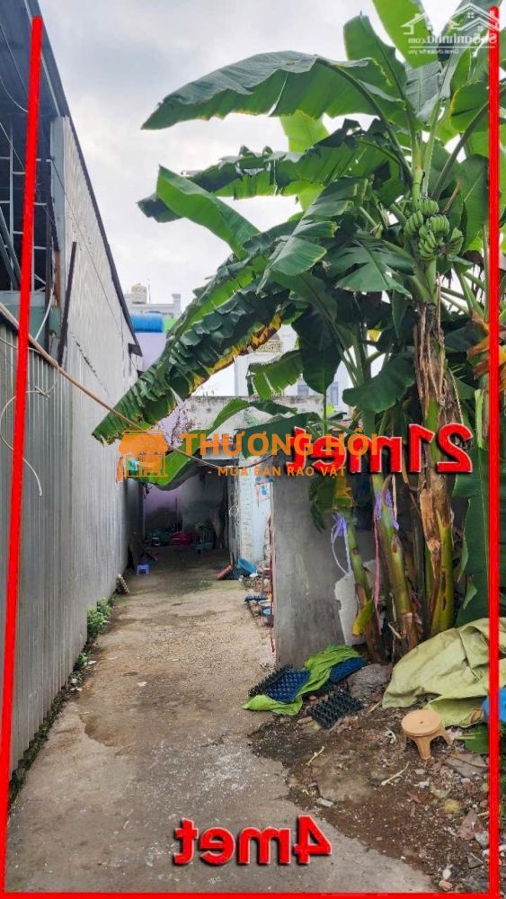 Chính Chủ Kẹt Vốn Kinh Doanh Bán Gấp Lô đất Trần Đại Nghĩa, Bình Tân, 100m2, Giá 2tỷ9, Sổ Hồng Riêng