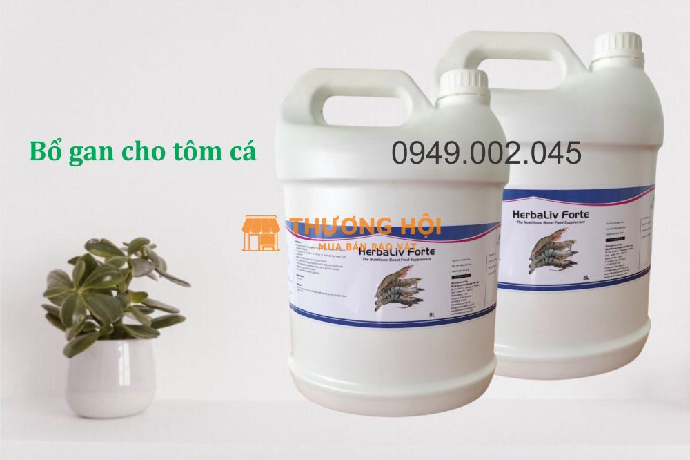 Herbaliv Forte - Bổ gan thảo dược dạng nước tôm cá