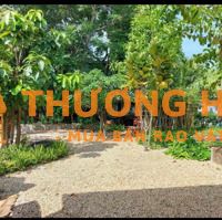 Bán đất Hà Huy Giáp - 703m ( 25 X 28m) Chỉ 23 Triệu/m2 - Mặt Tiền 5m- Cách Ngã Tư Ga 500m Sát Gv