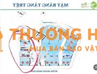 8 Căn Shophouse Liền Kề Dòng Tiền Tốt 7% - 9% / Năm. Novaland Garden Gate
