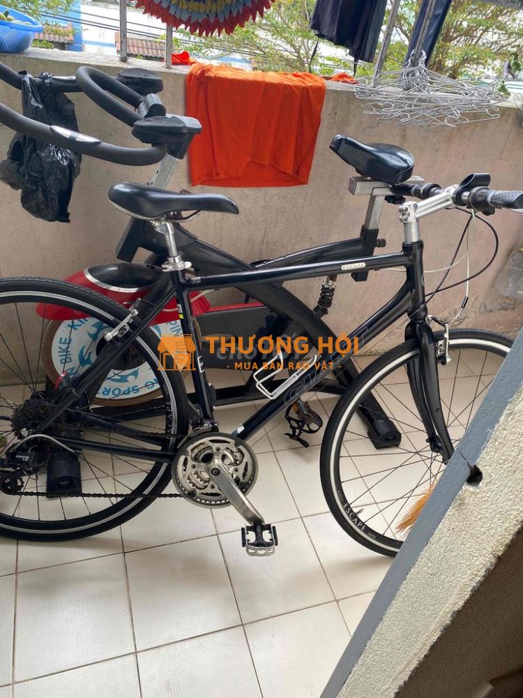 xe thể thao