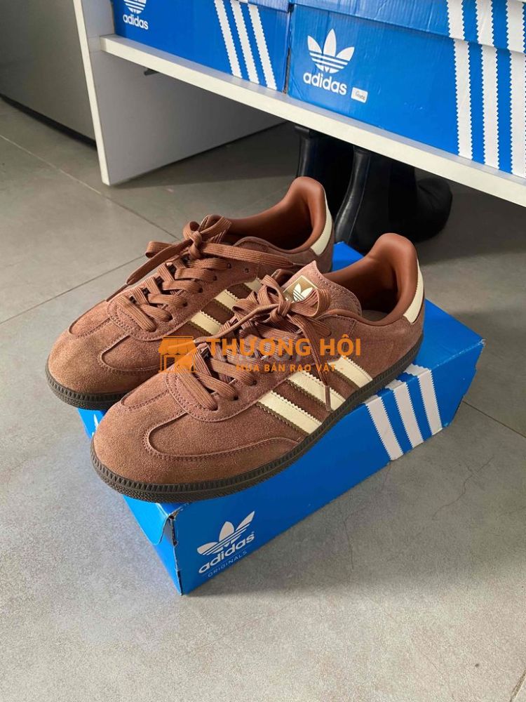 giay adidas sz41