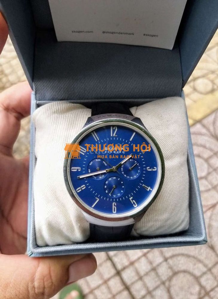 Skagen skw6535