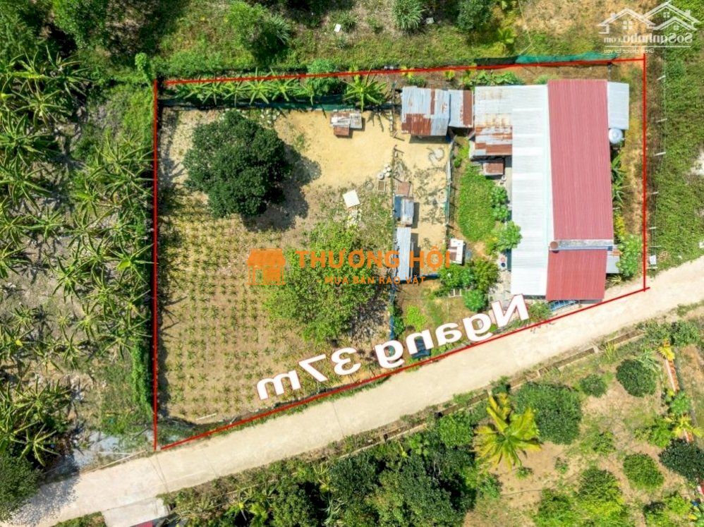 Bán đất Vườn Diên Thọ QH Full Thổ Cư Gần Tỉnh Lộ 2 - Ngang 37m Tặng Nhà Cấp 4
