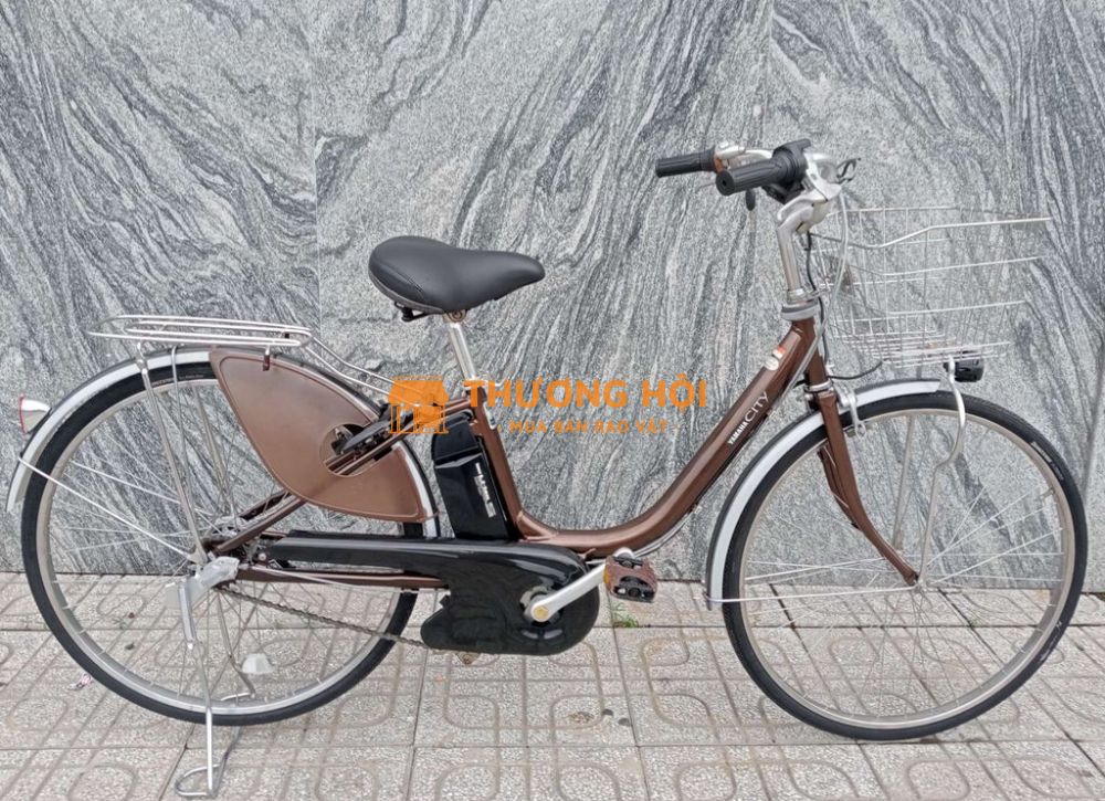 Xe đạp trợ lực & tay ga 3 chế độ