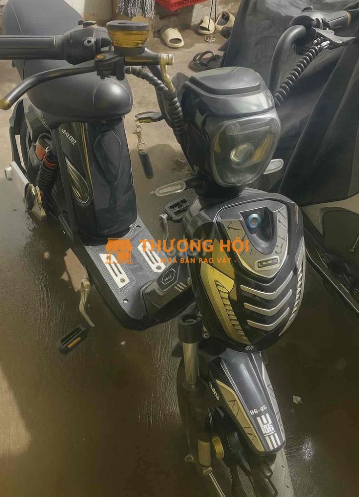 Xe đạp điện