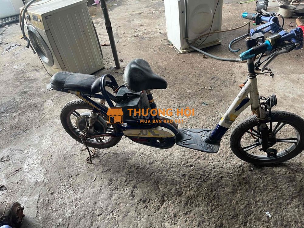 xe đạp điện