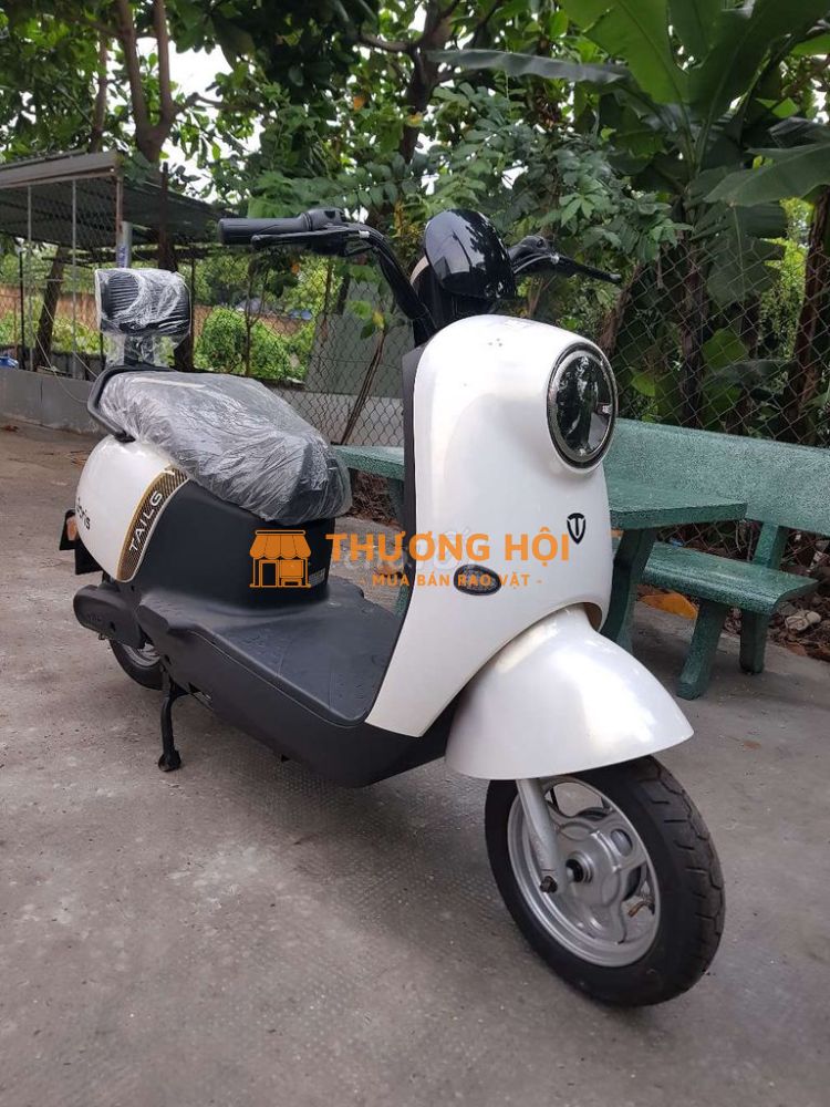 Xe điện TAILG DORIS nhập khẩu . Mới 100%