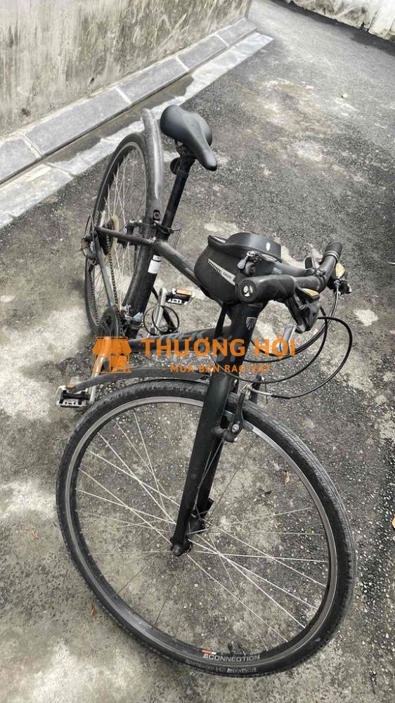 Trexk nhật bãi xịn