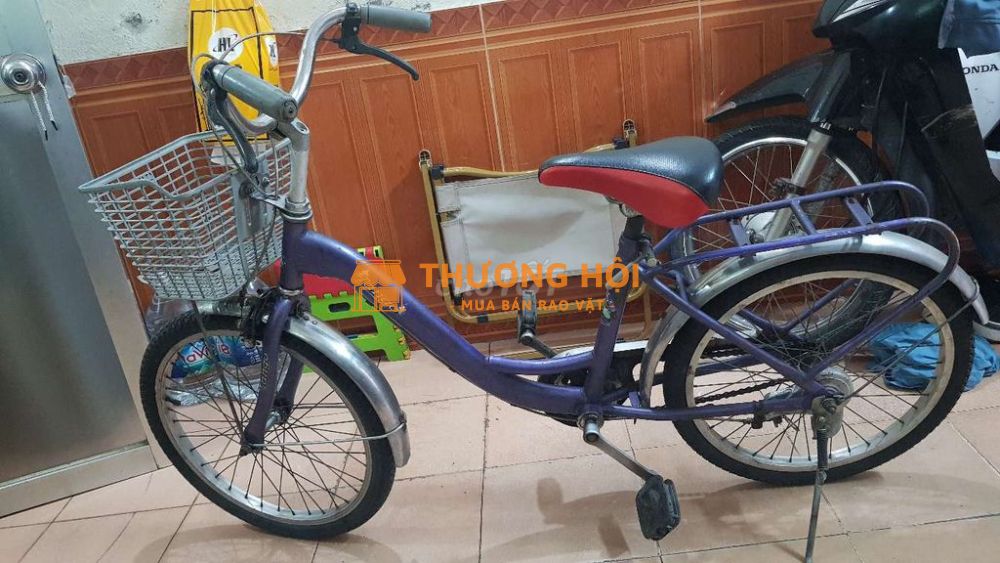 Xe đạp trẻ em vành nhôm 20 inch