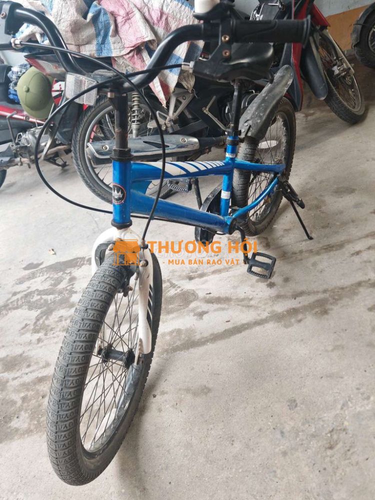 XE 20INCH ROAL BABY chính hãng