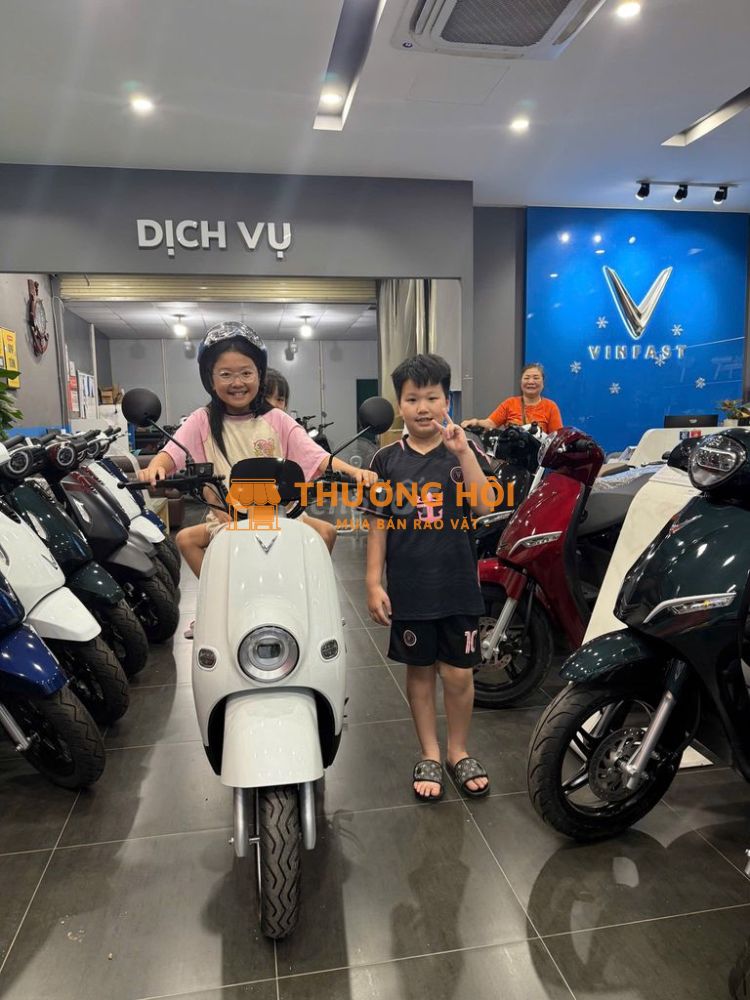 Xe điện Vinfast chính hãng lắp táp tại Việt Nam
