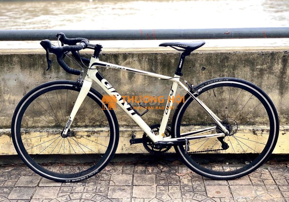 Giant Defy bãi Nhật nguyên zin