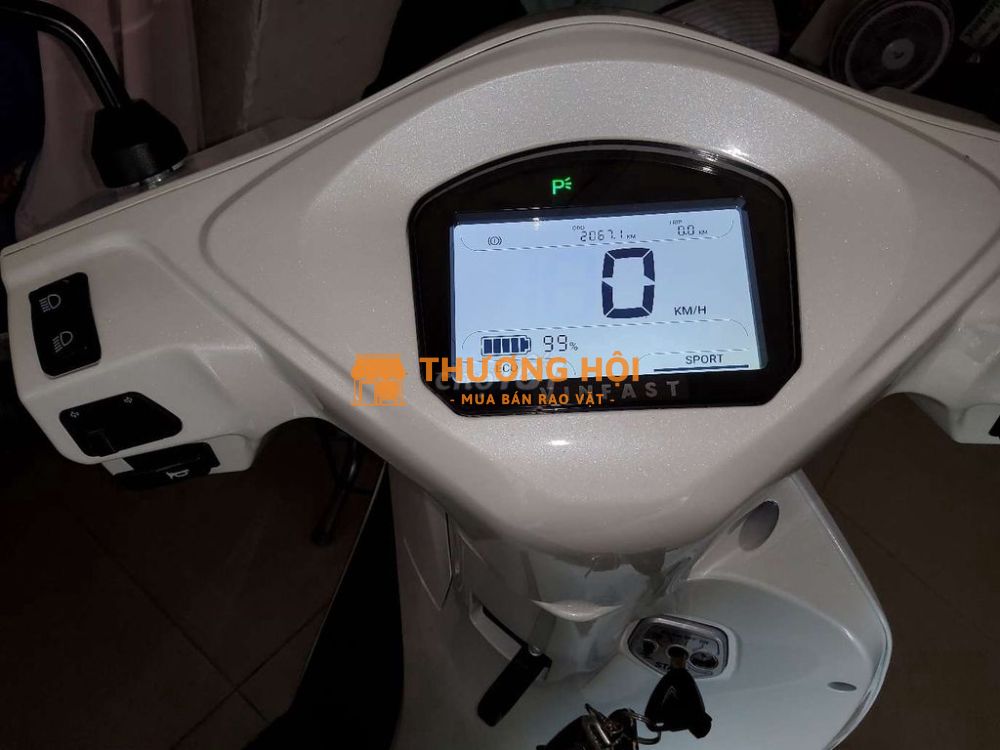 Pass xe đien vf