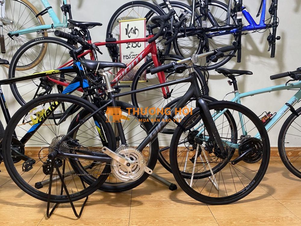GIANT . BIANCHI . BÃI VIP . ZIN