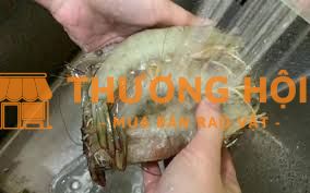 LĐPT sơ chế thuỷ hải sản