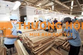 Lao động phổ thông nghành nội thất gỗ
