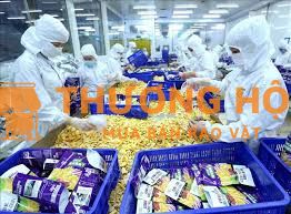 Công nhân sấy trái cây