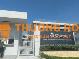 Việc làm ổn định cho nam/nữ tại kho Olam Long Bình