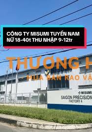 CTY MISUMI TUYỂN LĐPT THỜI VỤ