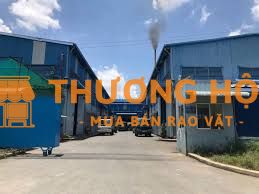 Công Nhân Giặt - Xử Lý Vết Dơ (Bằng Tay)