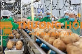 10 CÔNG NHÂN THỜI VỤ