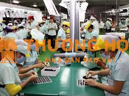 Cần 10 nữ đi xkld Đài Loan đơn hàng điện tử