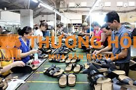 LAO ĐỘNG PHỔ THÔNG THỜI VỤ