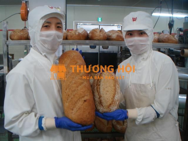Tuyển nam nữ đi xkld Đài Loan đơn hàng làm bánh mỳ